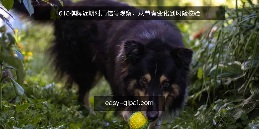 618棋牌近期对局信号观察:从节奏变化到风险校验 — 近期对局信号:节奏与牌型分布 配图